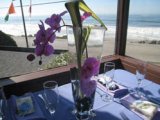 The Douglas Beach House
